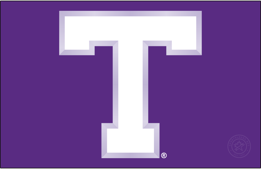 Tarleton Texans 2005-2018 Primary Dark Logo DIY iron on transfer (heat transfer)